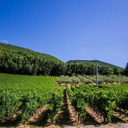 Feriegård Cantina Semonte Wine *