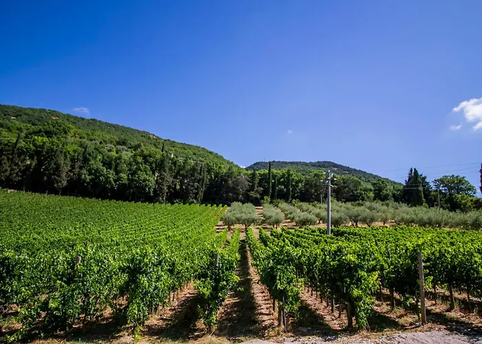 Farmház Cantina Semonte Wine *